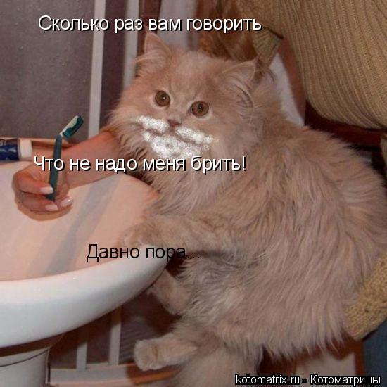 4743317_Va (550x550, 45Kb)