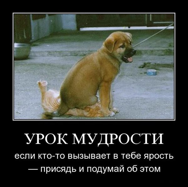 4743317_demotivatori_79 (600x597, 64Kb)