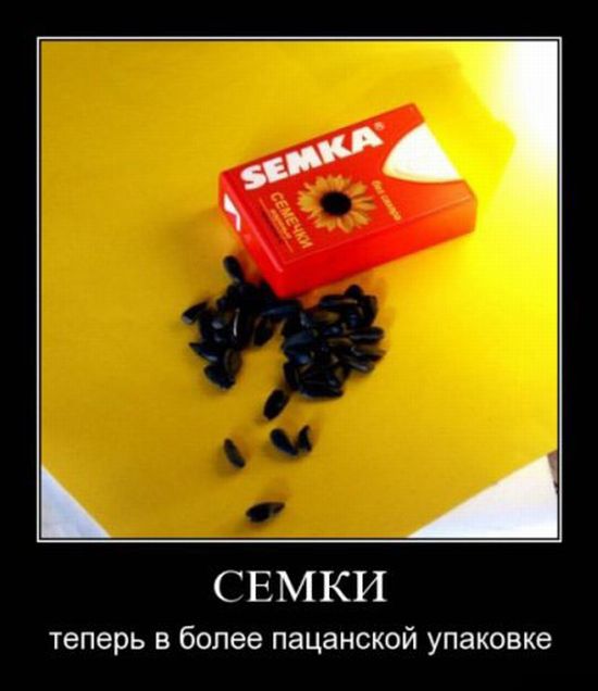 4743317_demotivatori_78 (550x636, 46Kb)