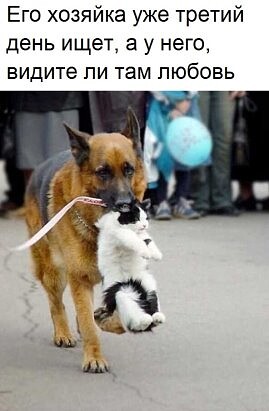 4743317_i_jpgm (269x411, 27Kb)
