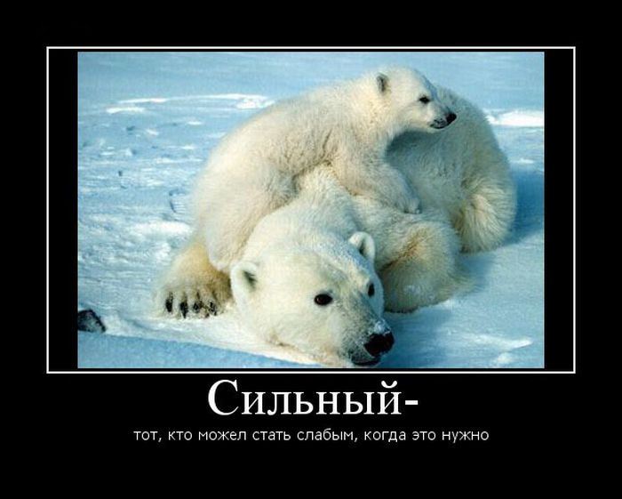 4743317_demotivatori_70 (700x561, 57Kb)