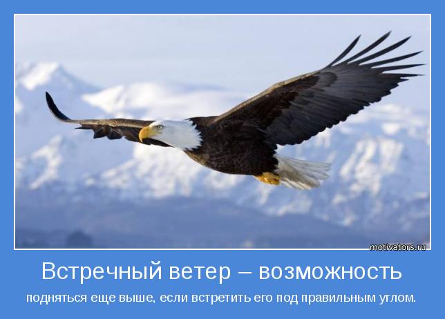 4743317_motivator48816 (644x462, 34Kb)