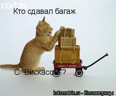 4743317_rR (400x331, 16Kb)