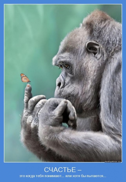4743317_motivator48864 (485x700, 177Kb)