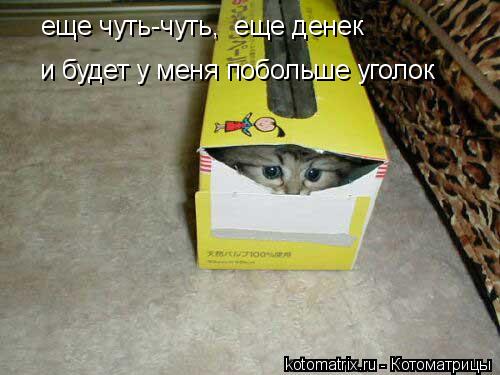 4743317_os (500x375, 34Kb)