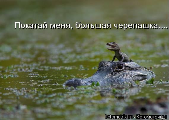 4743317_k (570x406, 32Kb)