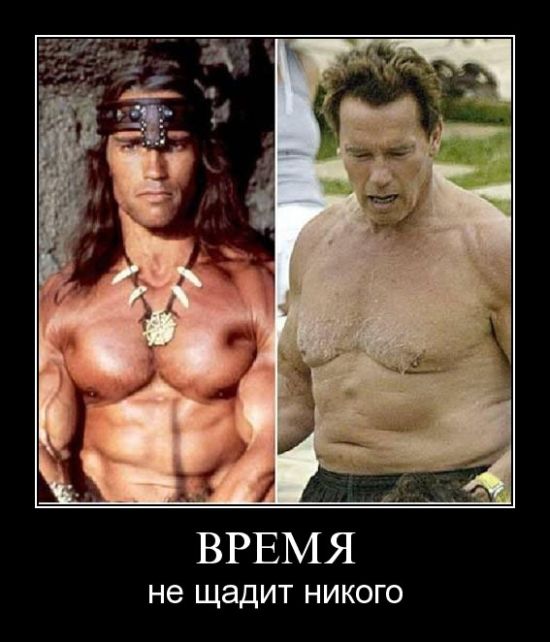 4743317_demotivatori_40 (550x642, 64Kb)