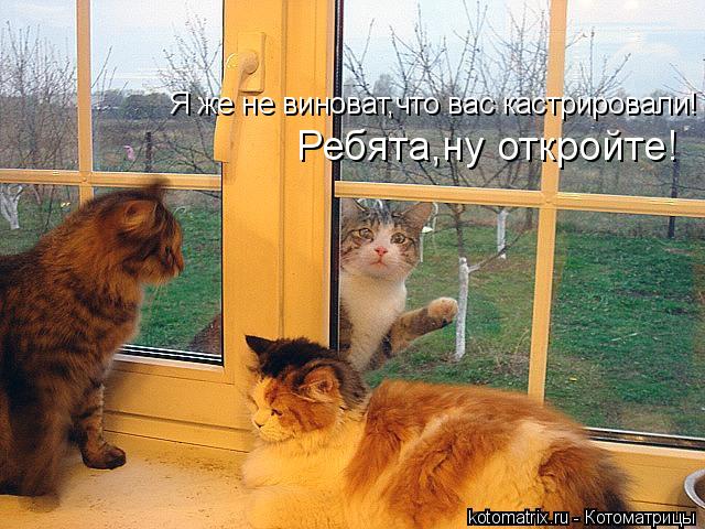 4743317_kz (640x480, 73Kb)