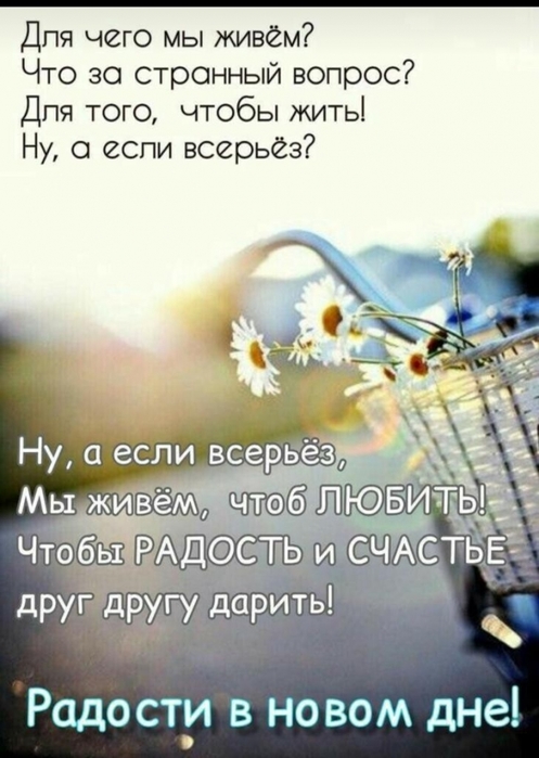 4743317_image20220326_07_49_22 (497x700, 207Kb)
