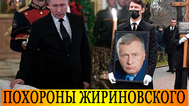 Окна Жириновский