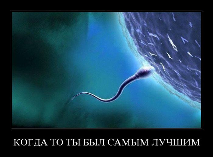 4743317_demotivatori_30 (700x517, 53Kb)