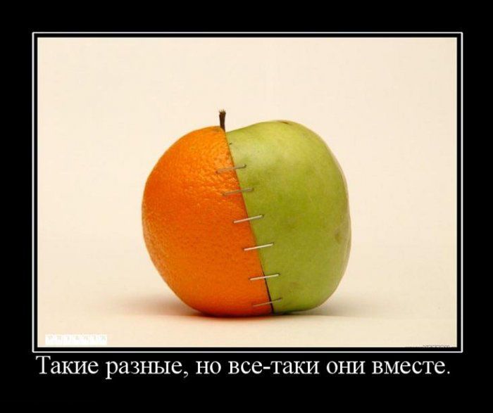 4743317_demotivatori_26 (700x587, 41Kb)