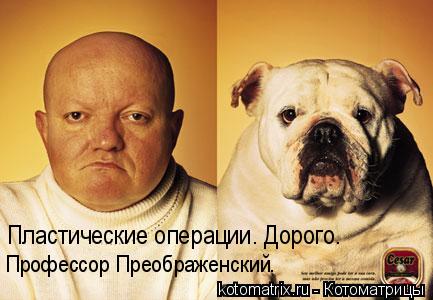 4743317_u (433x300, 27Kb)
