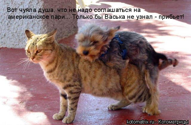 4743317_dH (640x419, 49Kb)
