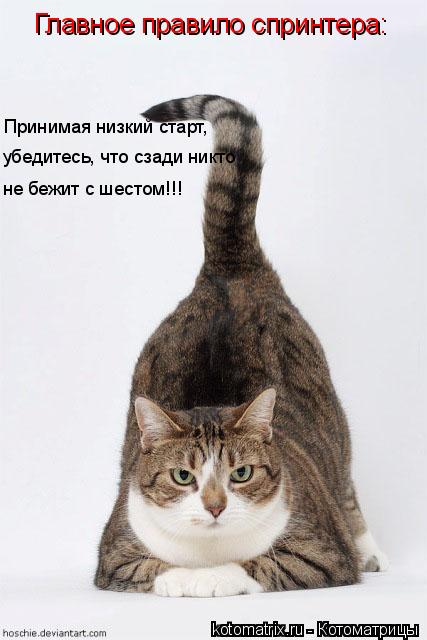 4743317_cK (427x640, 38Kb)