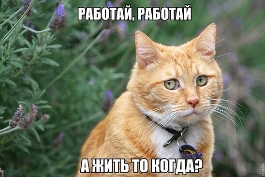 4743317_i_jpg76 (548x366, 53Kb)