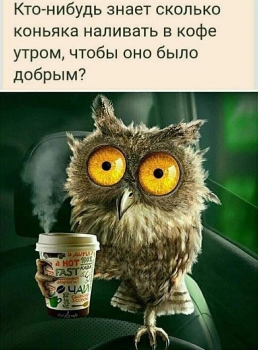 4743317_image (515x700, 230Kb)
