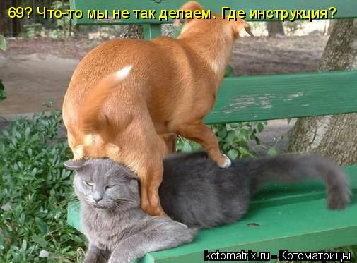 4743317_dN (505x373, 38Kb)