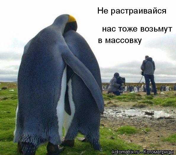 4743317_b3 (595x526, 56Kb)