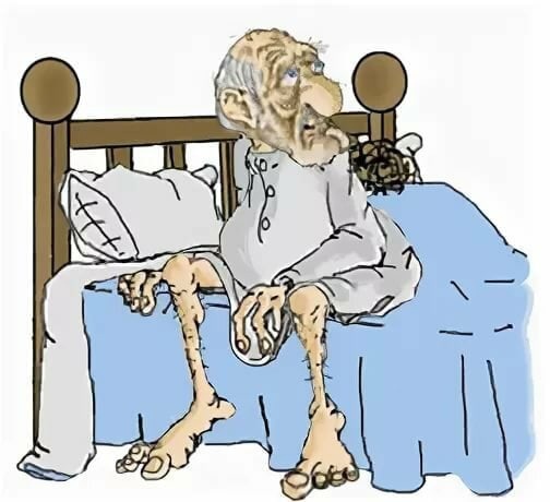 = (504x460, 65Kb)