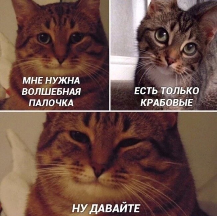   (700x698, 149Kb)