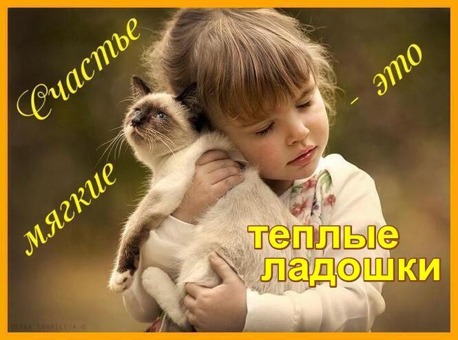 5182169_vNMfebTPR6Mz (665x494, 50Kb)