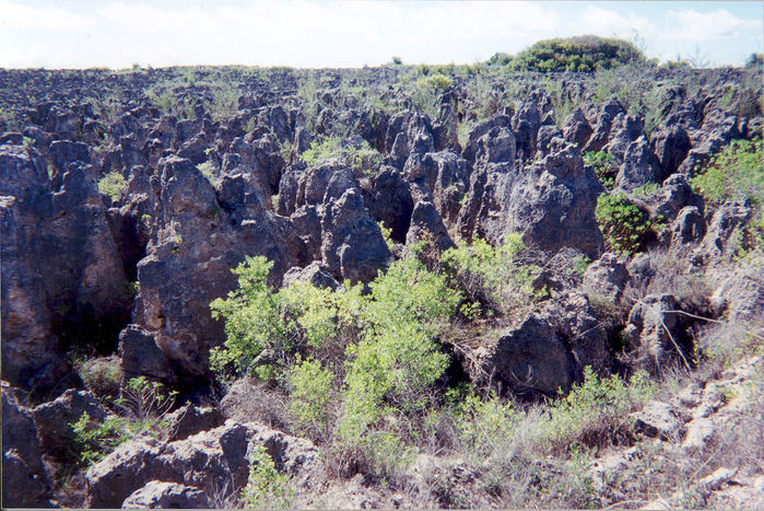 1280px-Karst_following_phosphate_mining_on_Nauru (900x667, 145Kb)