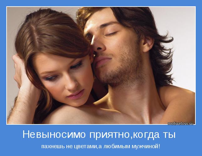 4743317_motivator47735 (644x499, 40Kb)