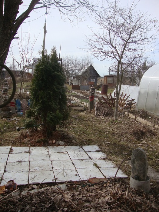 DSC07938 (525x700, 187Kb)