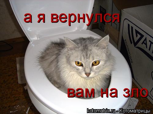 4743317_G (500x375, 32Kb)
