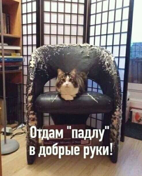 3416556_3b7475988ea26ac934b485f0b824f1c9 (493x612, 51Kb)