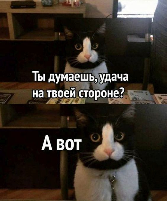 3416556_7d4a8e62a9a942af76b0b68c1f06b0b0 (564x681, 45Kb)