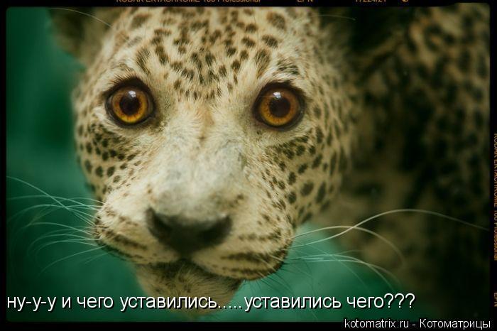 4743317_Jz (700x466, 46Kb)