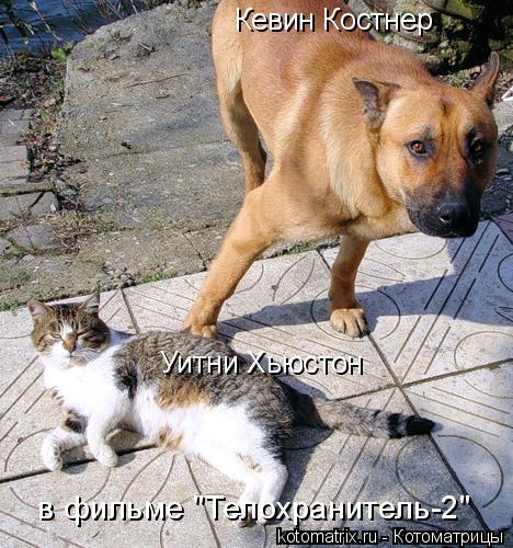 4743317_k_ (468x500, 68Kb)