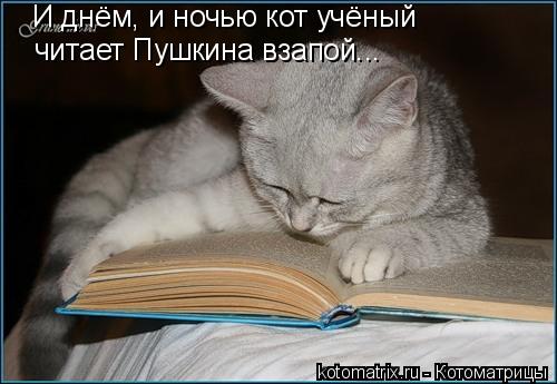 4743317_e (500x345, 32Kb)