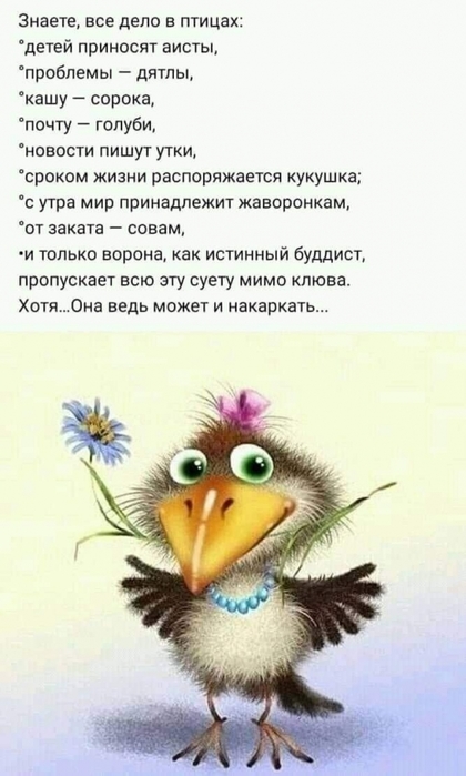 4743317_image20220116_09_08_41 (420x700, 172Kb)