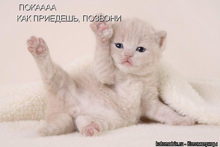 4743317_lQ (700x467, 33Kb)