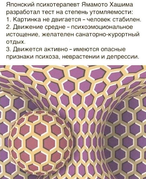 278588113_2135148323306617_3765714377980643898_n (556x680, 77Kb)