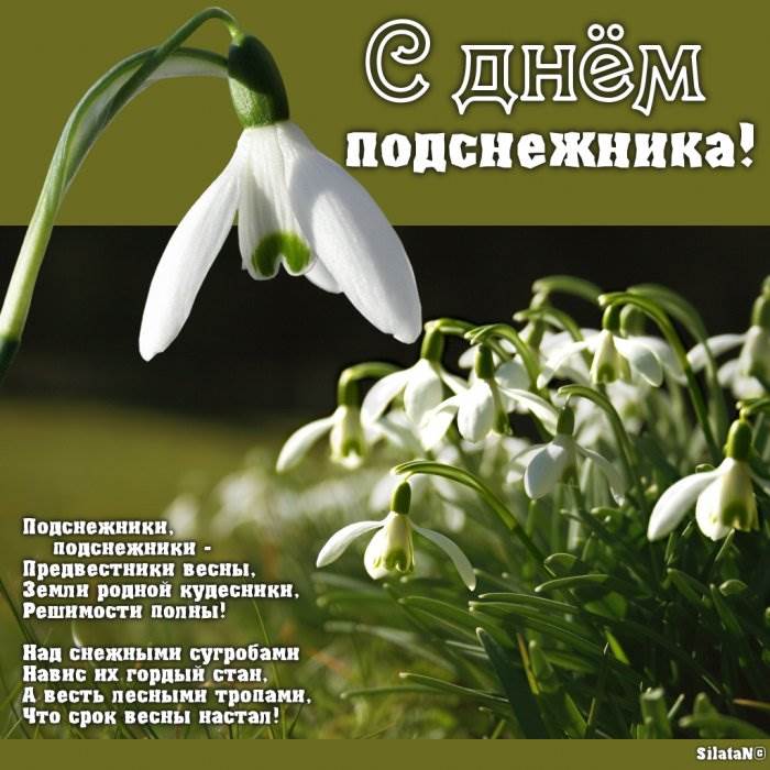 1523956842_4 (700x700, 65Kb)
