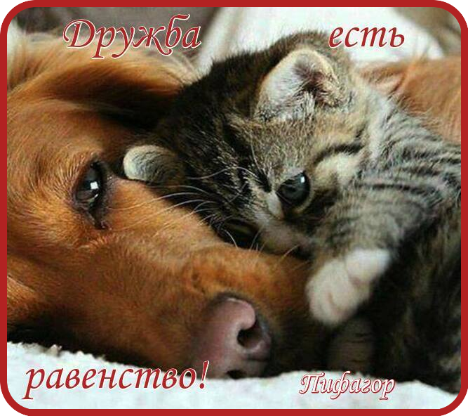 5182169_jpg_21 (667x592, 772Kb)