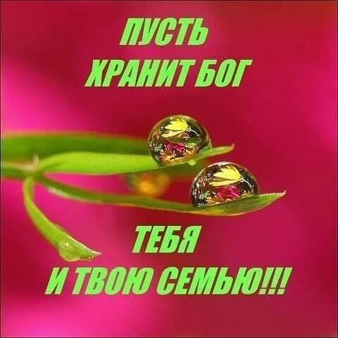 5182169_16265888_219635461833440_6803381272017567992_n (480x480, 26Kb)