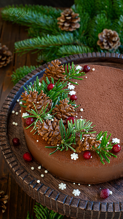 chocolate_hazelnut_cake_1 (392x700, 460Kb)