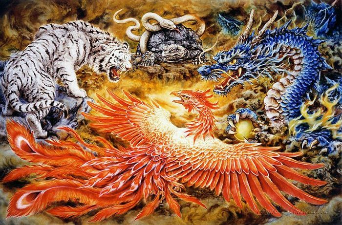3109898_tig_drakon (700x462, 116Kb)