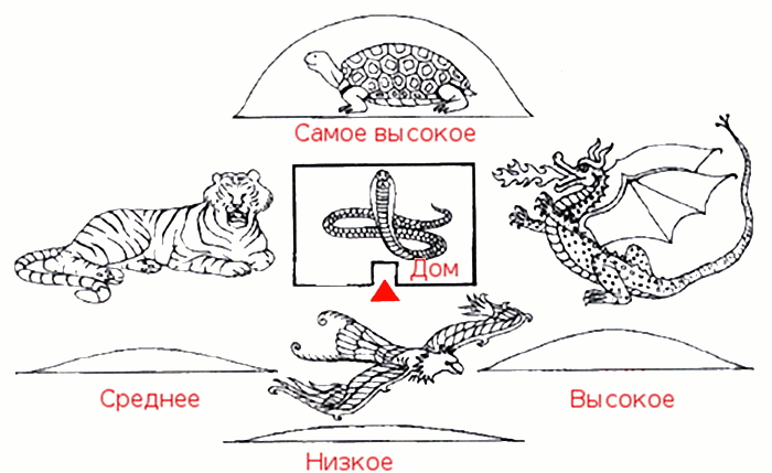 3109898_Tigr_zapada (700x429, 45Kb)