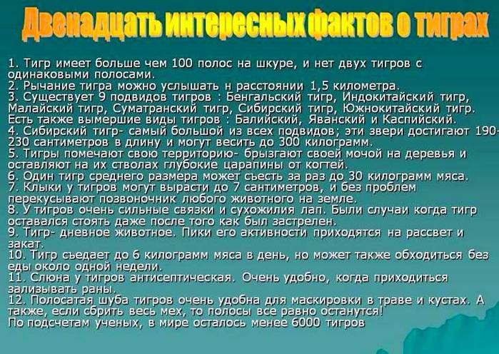 3109898_slaid_fakti (700x496, 95Kb)