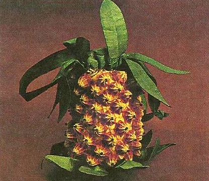 5158259_symochka_ananas__19_v (416x360, 51Kb)