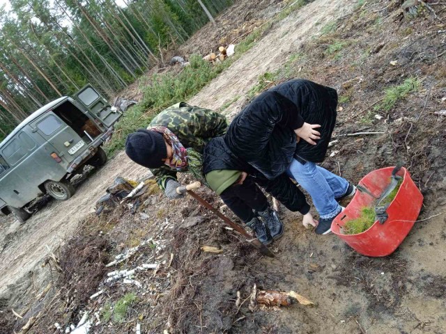 Конкурс чалавек свайго лесу итоги