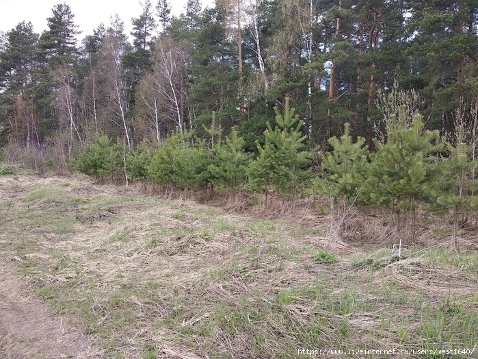 6 (700x524, 419Kb)