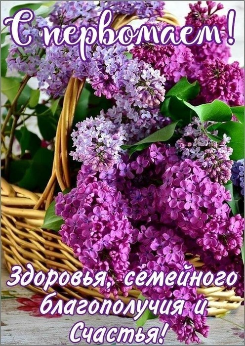 IMG_20220501_060223 (496x700, 157Kb)