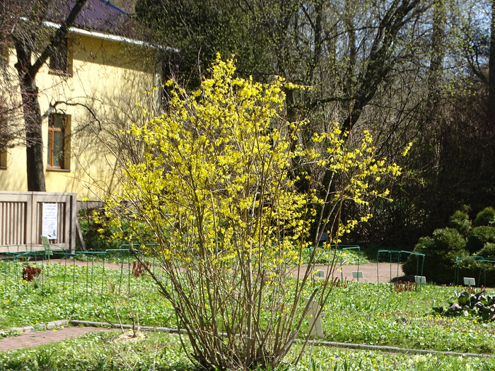 DSC00058 (700x525, 675Kb)